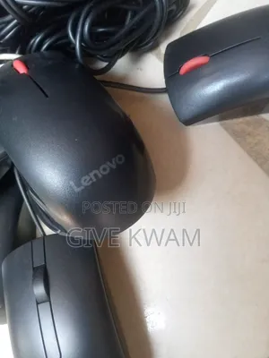 Home Use Mouse