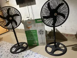 Standing Fan