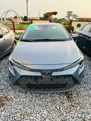 Toyota Corolla LE 2020 Gray