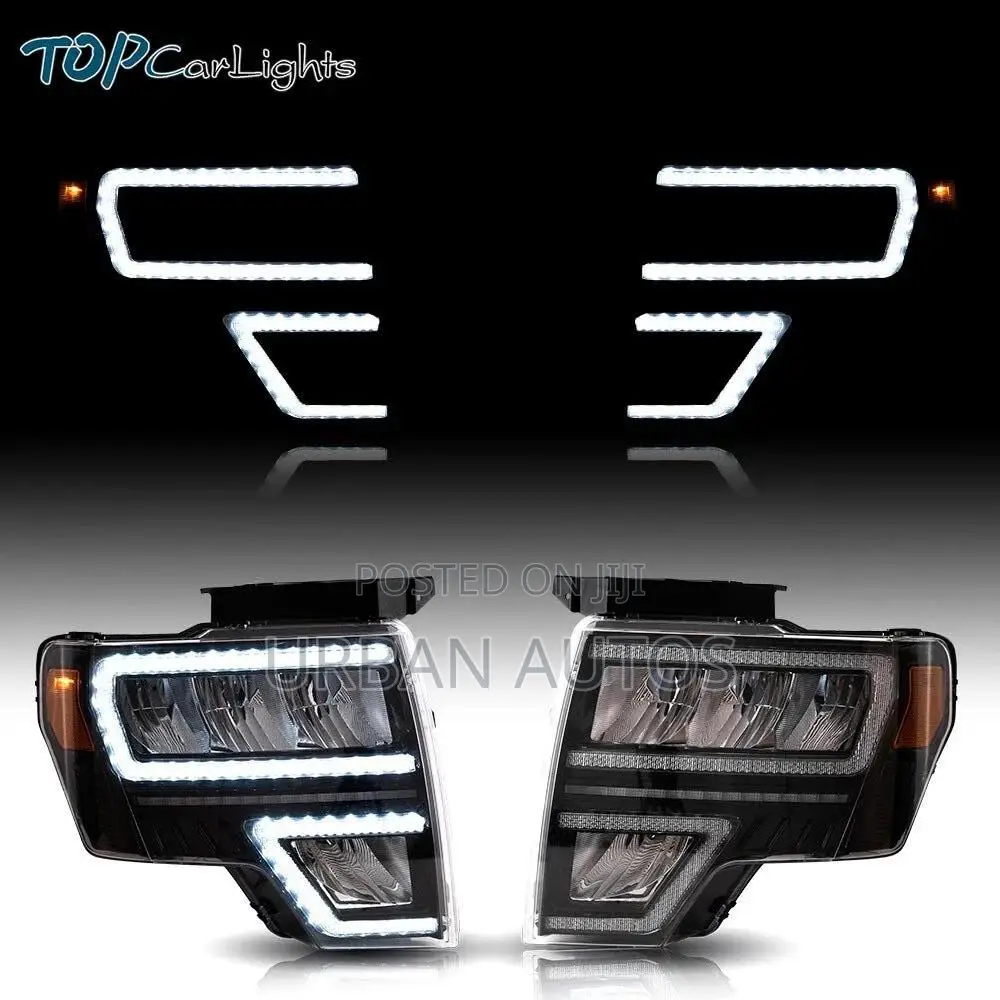 Ford F150 Headlight Vland 2009