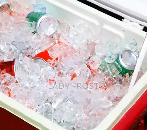 Ice Cubes(Ladyfrost Icecube)