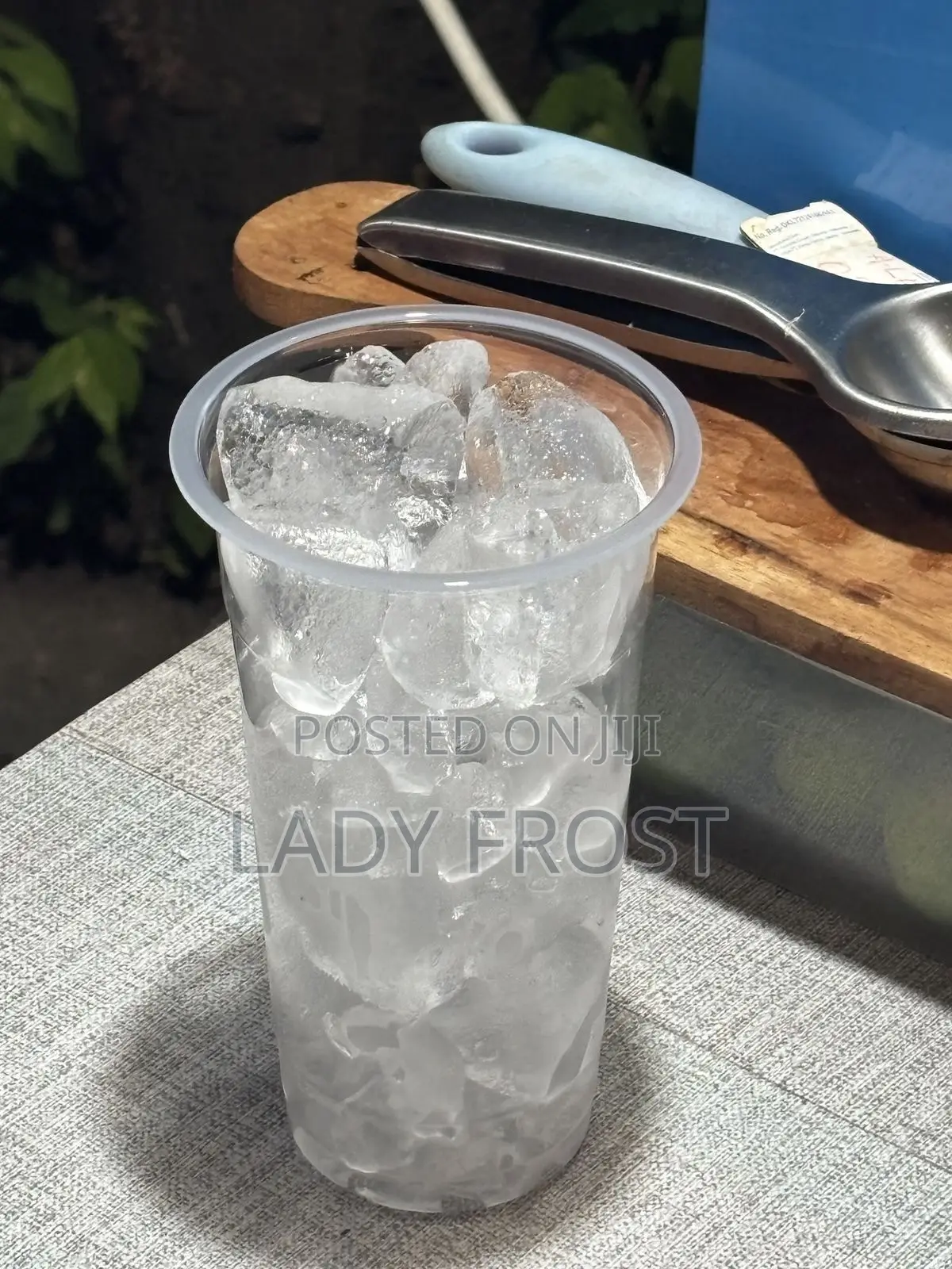 Ice Cubes(Ladyfrost Icecube)