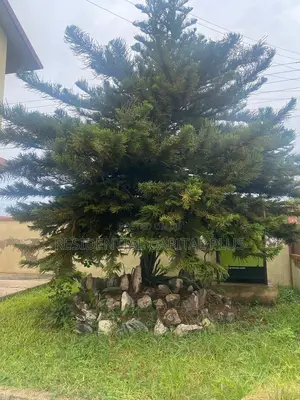 Furnished 7bdrm Duplex in Spintex for rent