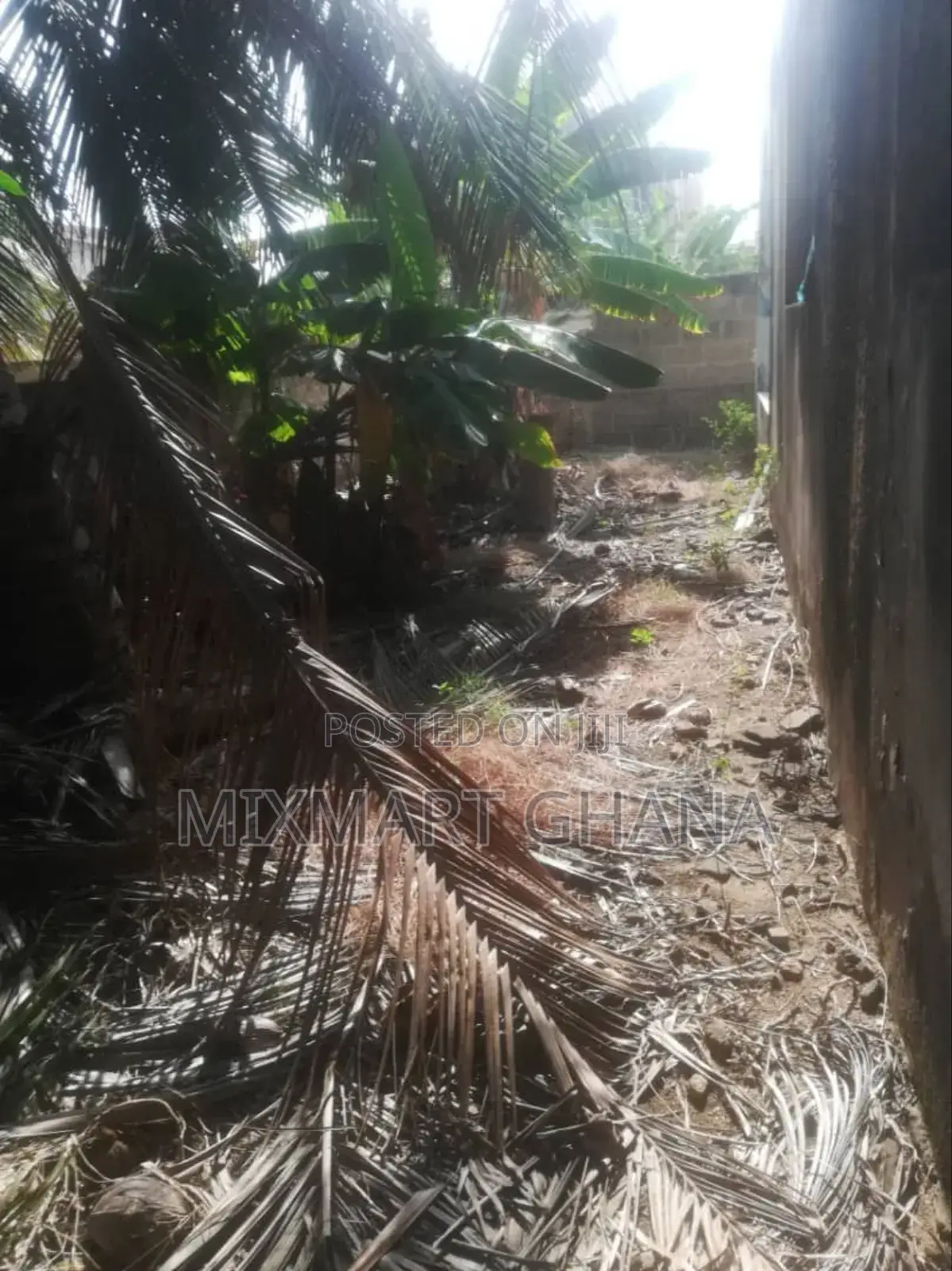 Ars Land for Sale