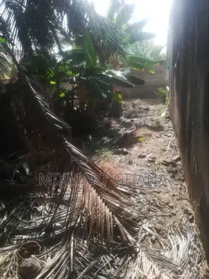 Ars Land for Sale