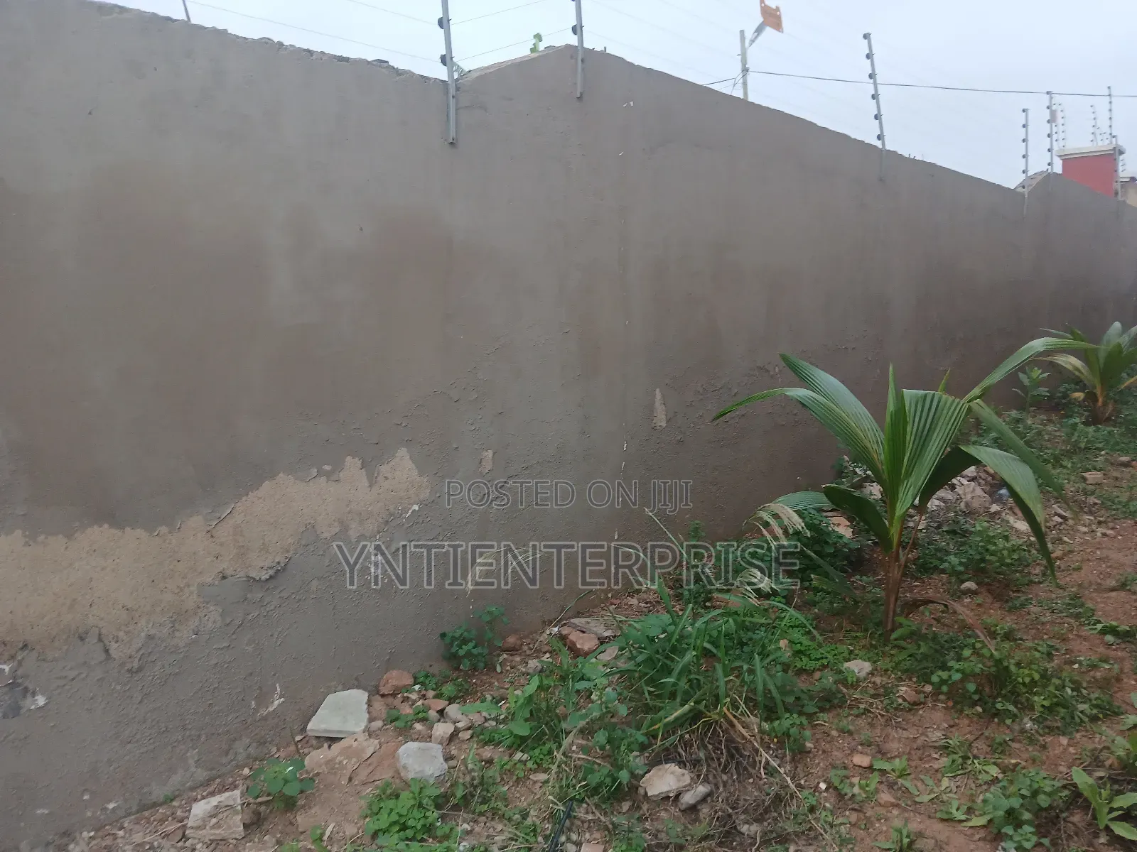 Experts In Damp Walls Repair