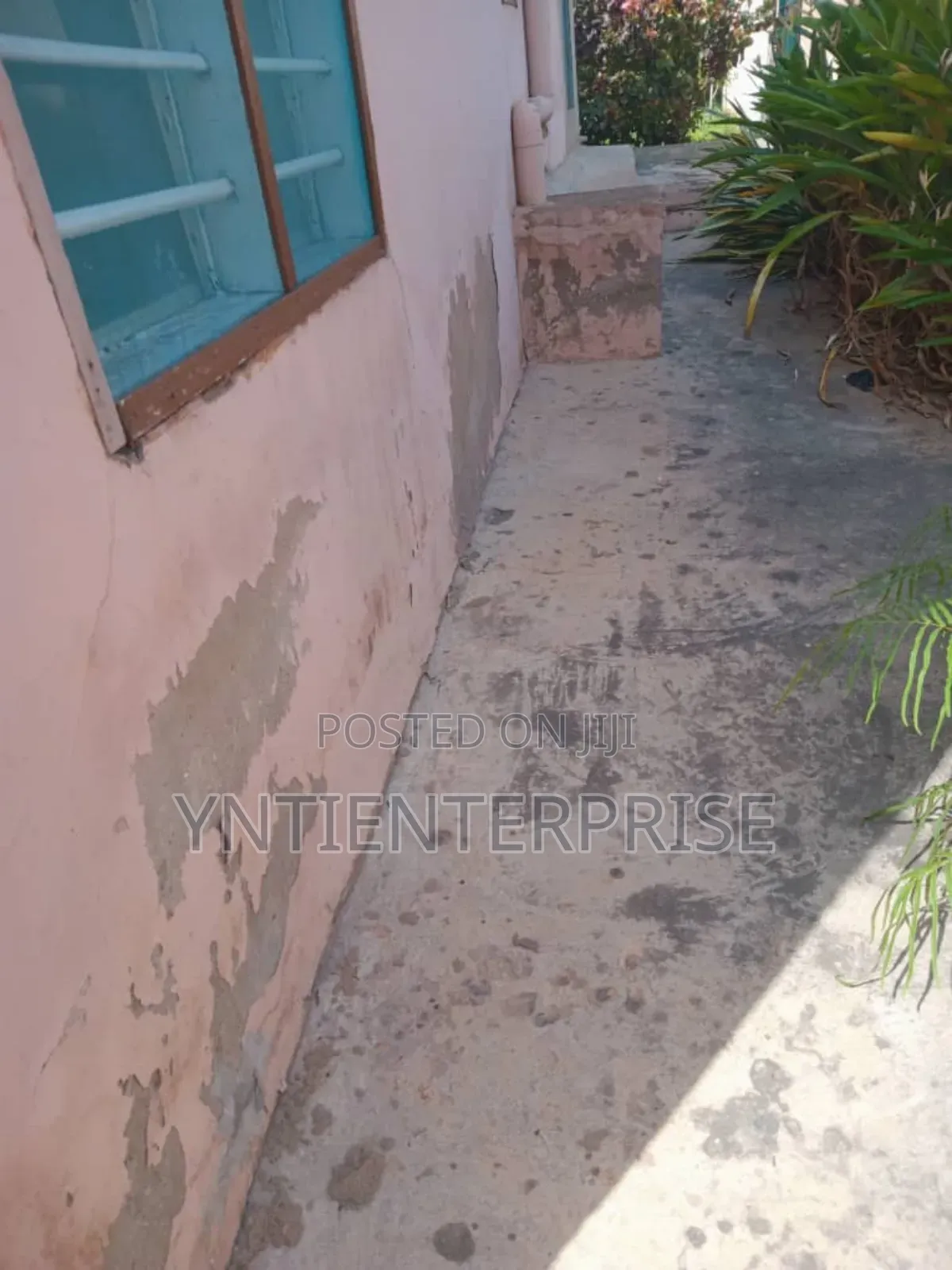 Expert In Treating Salty,Damp,Crack Walls.We Do Painting And Grafiato.