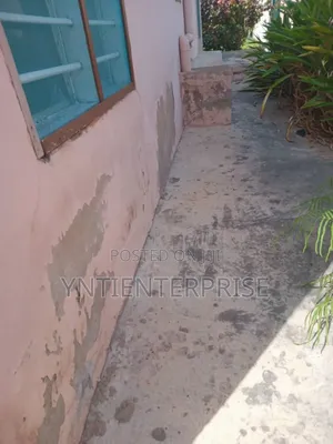 Expert In Treating Salty,Damp,Crack Walls.We Do Painting And Grafiato.