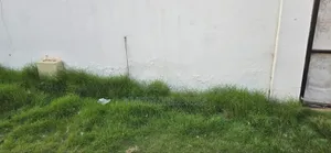 Expert In Treating Salty,Damp,Crack Walls.We Do Painting And Grafiato.