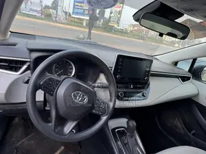 Toyota Corolla LE 2020 Gray