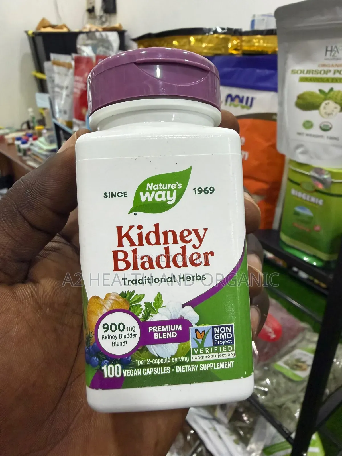 Kidney Bladder