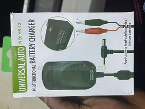 Multifunctional Battery Charger 6v to 12v