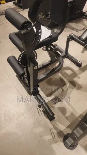 Leg Curl Extension Machine