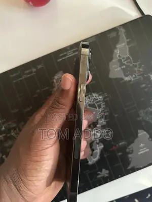 Apple iPhone 13 Pro Max 256 GB Gray