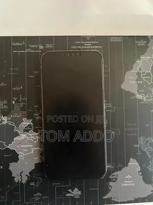 Apple iPhone 13 Pro Max 256 GB Gray