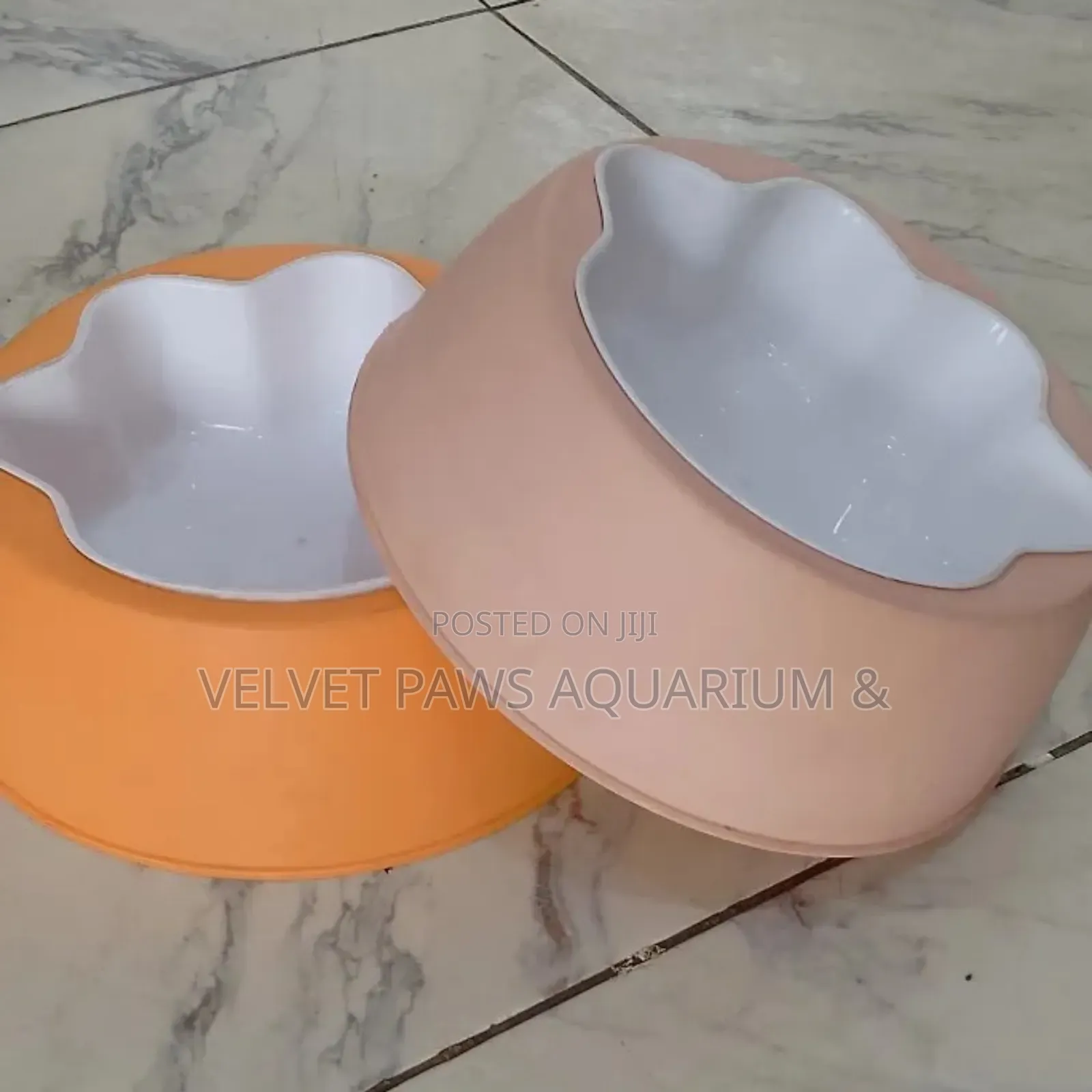 Dog Plastic Bowls