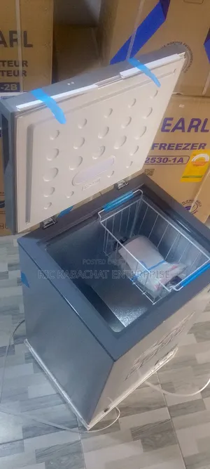 Chest Freezer 100 Energy Saving