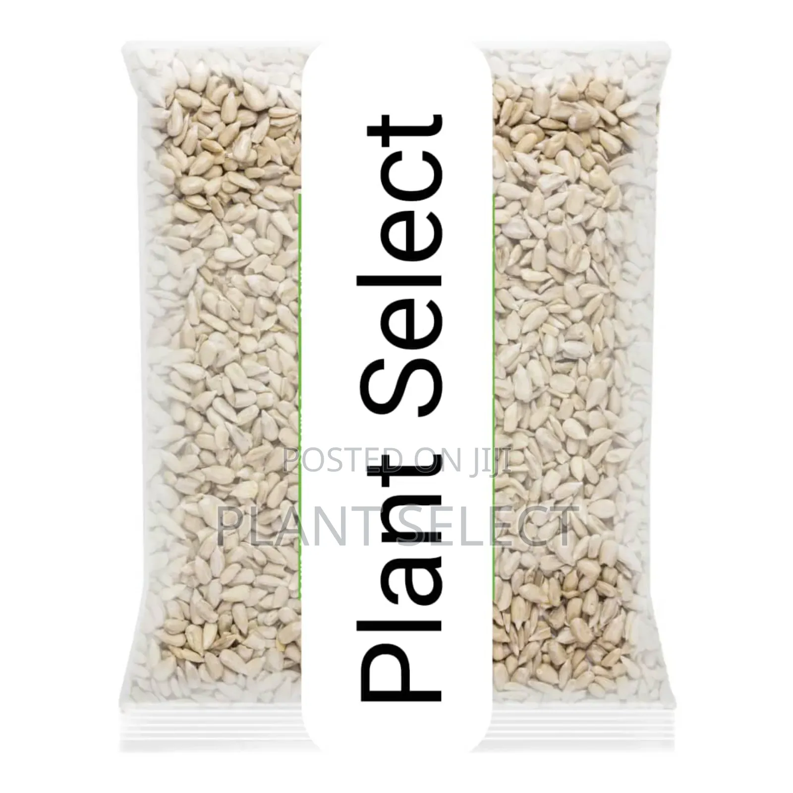 Organic Sunflower Seeds (350 Grams)