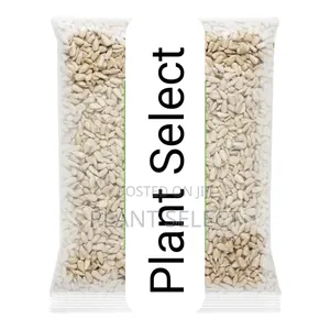 Organic Sunflower Seeds (350 Grams)