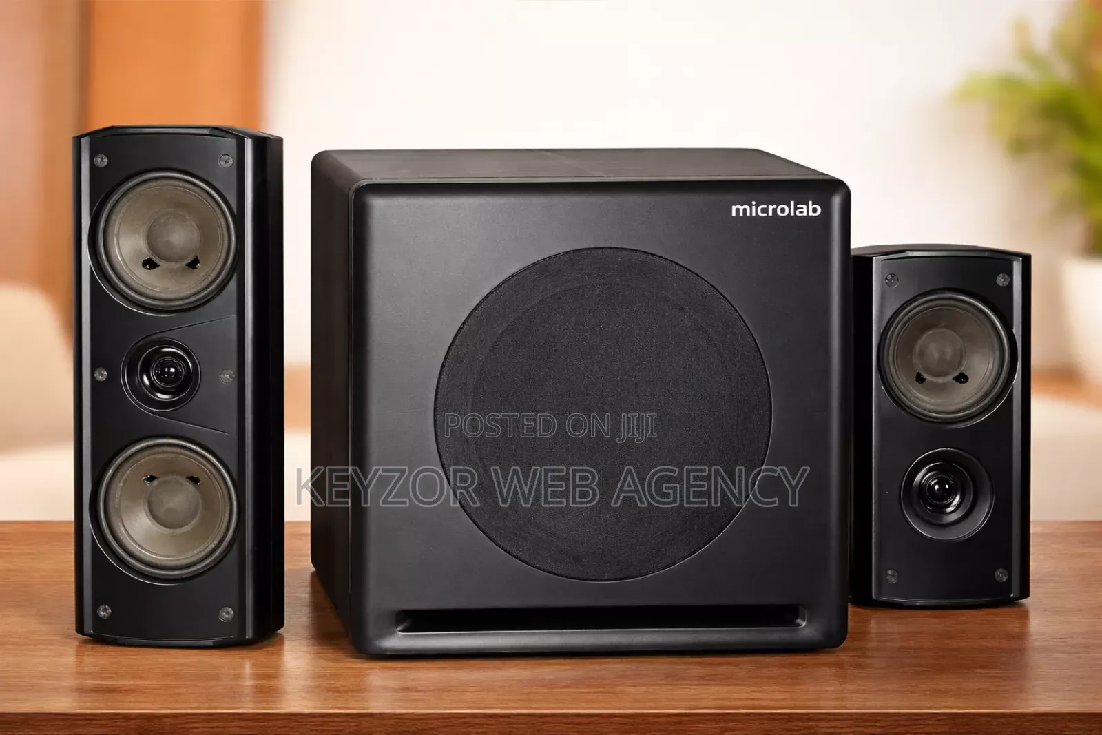 Microlab Speaker