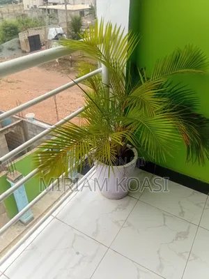 1bdrm Apartment in Issah Mohammed, Accra Metropolitan for rent