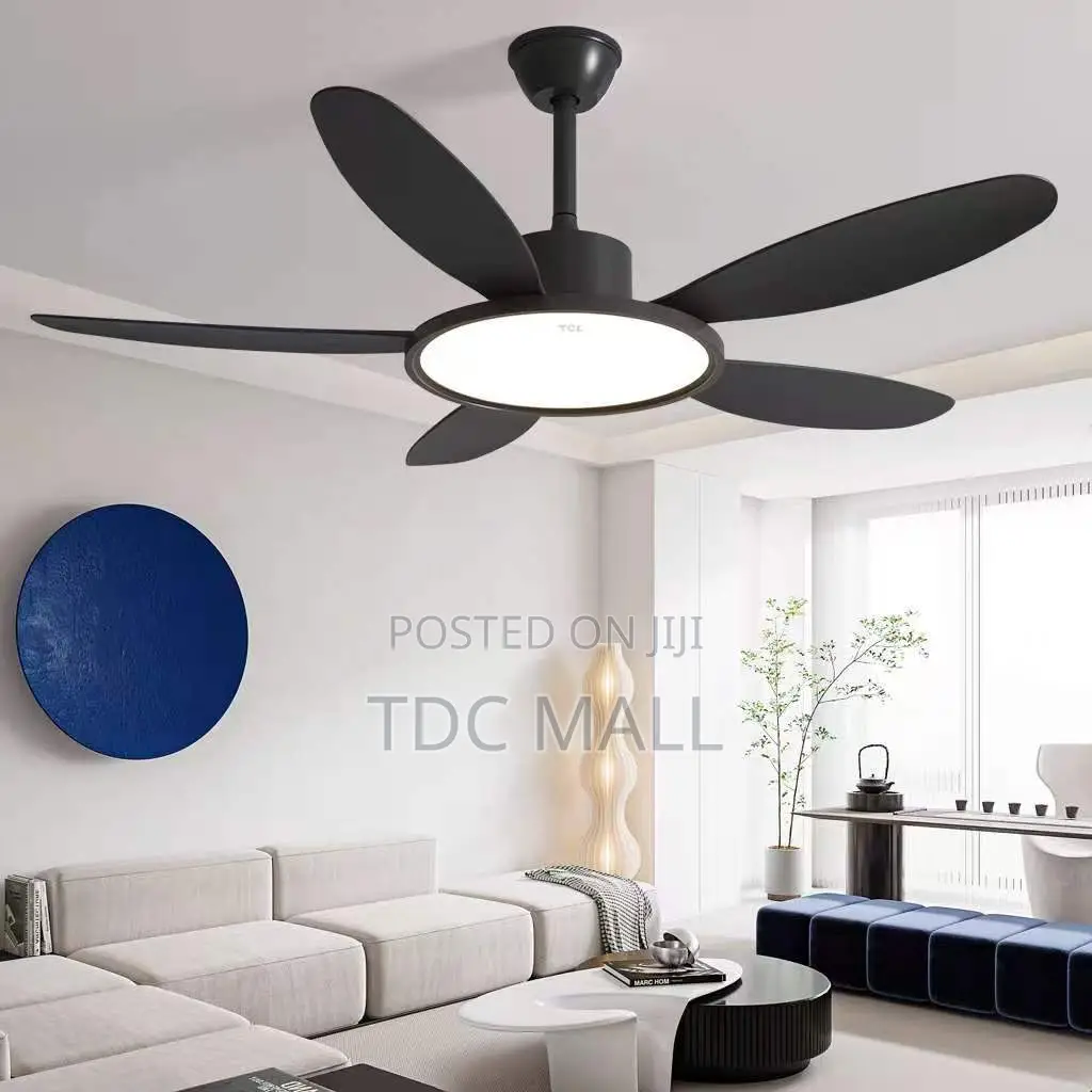 Executive Art Ceiling Fanlight With Remote Control