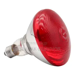 Heat Lamps ( Bulbs )