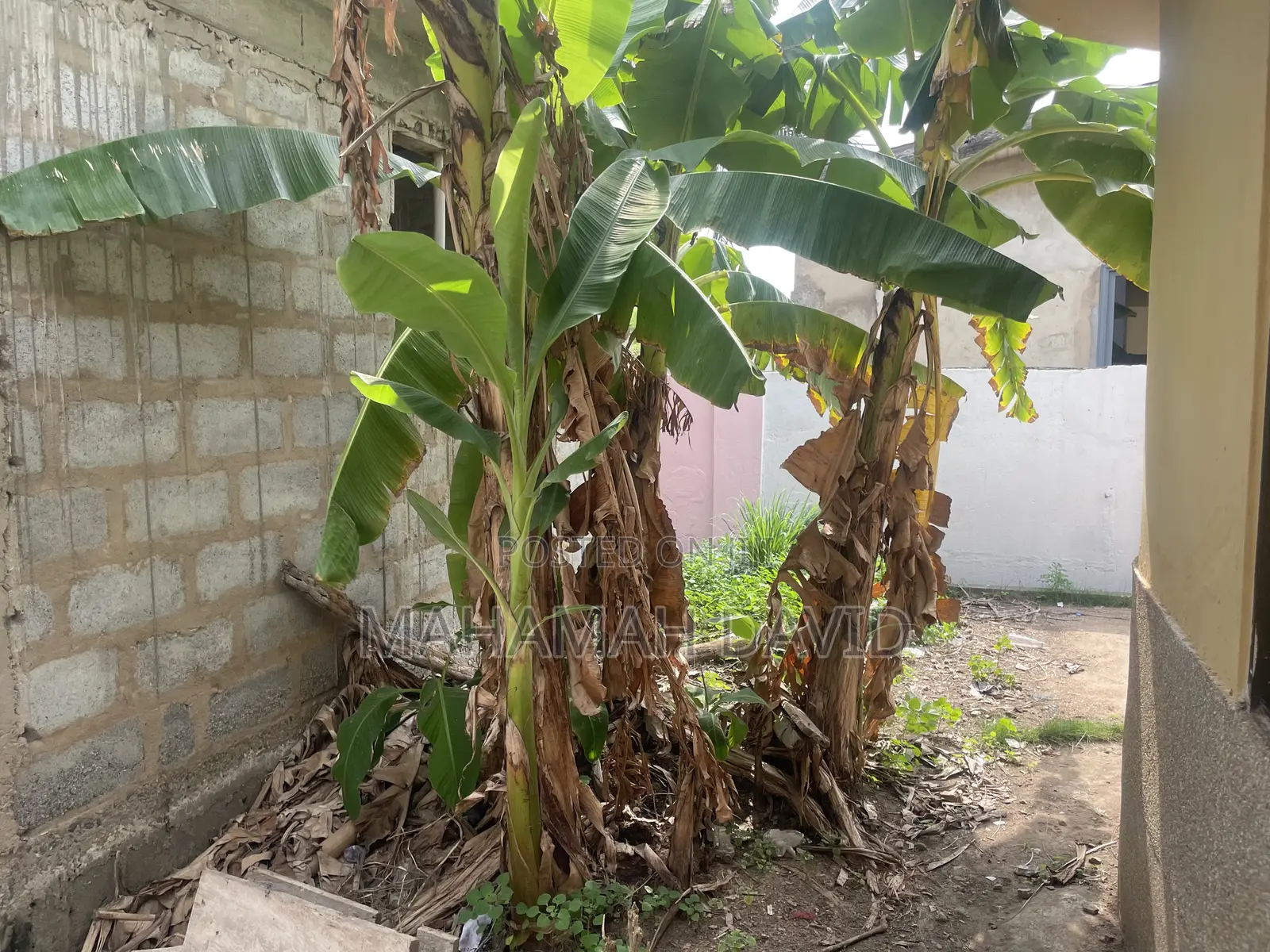 Furnished 5bdrm House in Santa Maria for sale