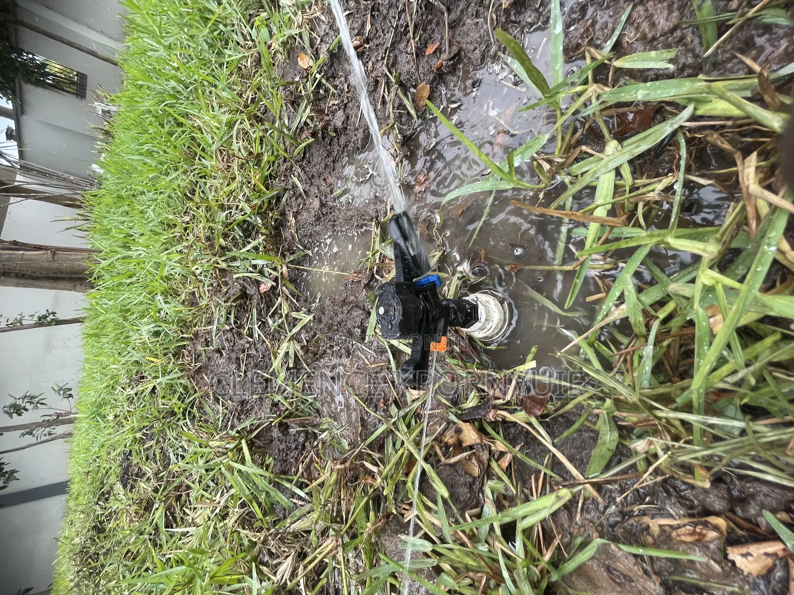 Garden Services