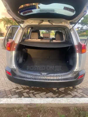 Toyota RAV4 XLE 4dr SUV (2.5L 4cyl 6A) 2015 Silver