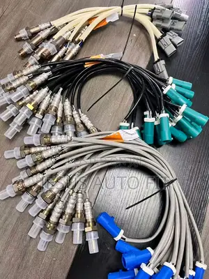 All Kinds of Oxygen Sensors
