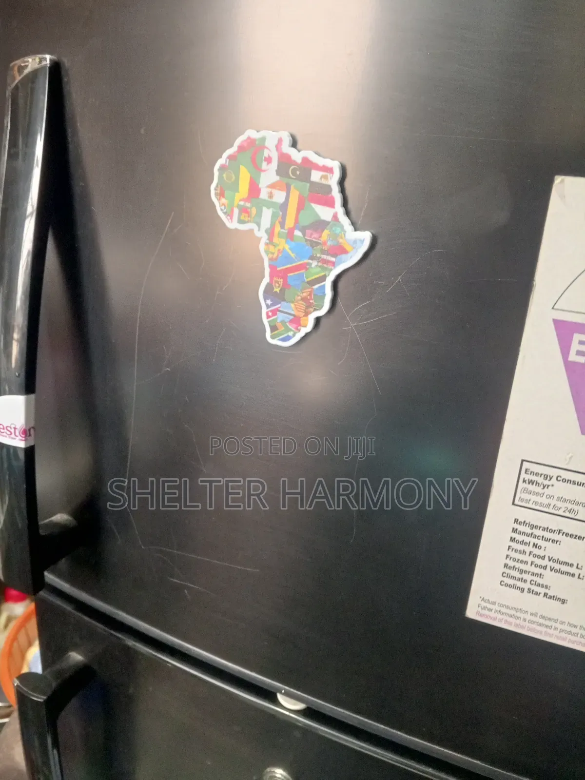 Fridge Magnet/ Opener