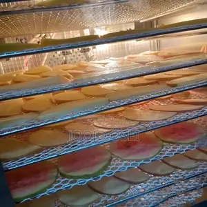 24layers Commercial Multipurpose Dehydrator