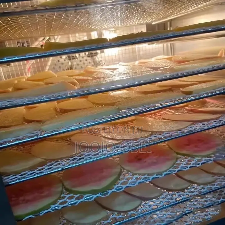 24layers Commercial Multipurpose Dehydrator