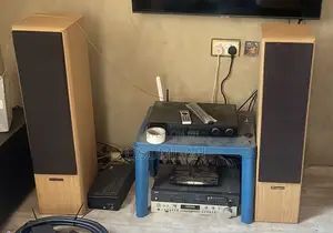 Proson Floor Standing Speaker