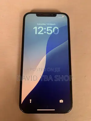 Apple iPhone 12 Pro Max 256 GB Blue