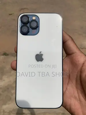Apple iPhone 12 Pro Max 256 GB Blue