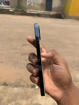 Apple iPhone 12 Pro Max 256 GB Blue