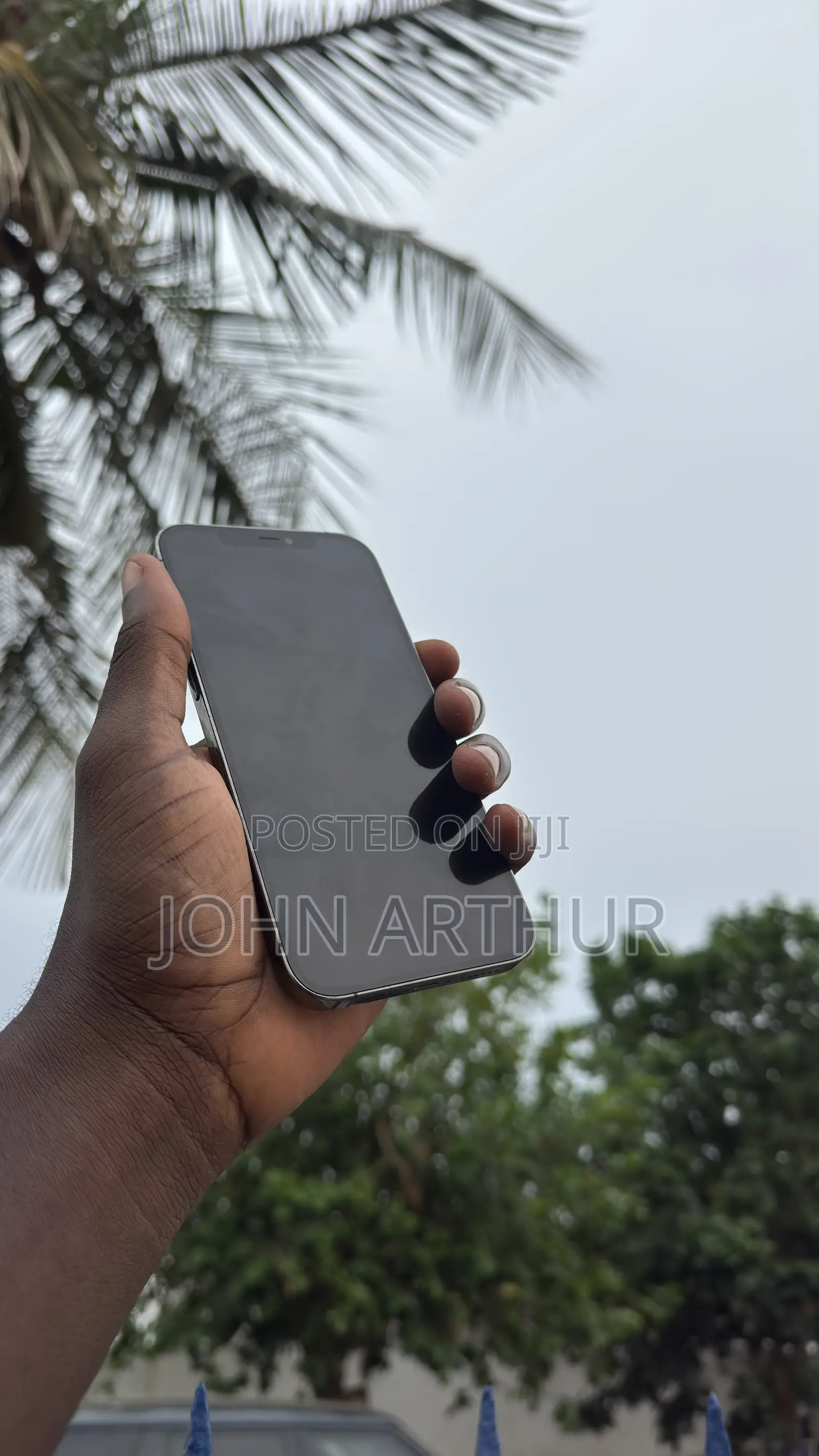 Apple iPhone 12 Pro Max 128 GB Gray