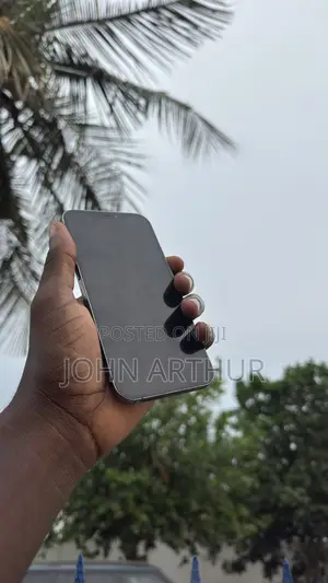 Apple iPhone 12 Pro Max 128 GB Gray