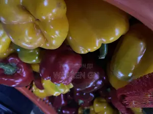 Warren Organic Fruits and Vegetables
