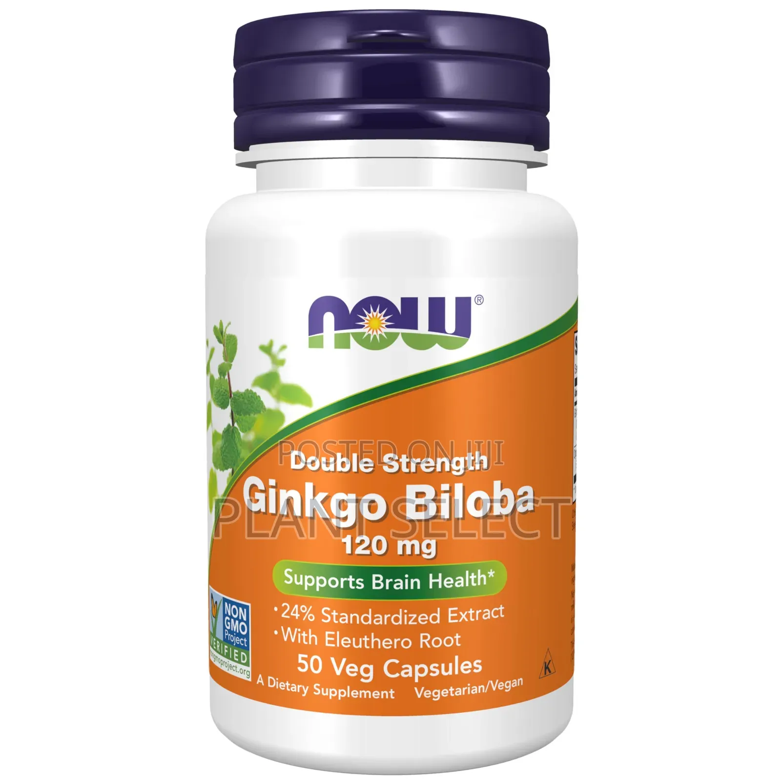 Gingko Biloba Capsules