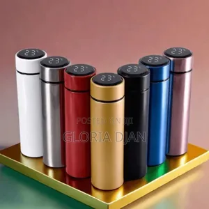 Temperature Display Bottles 500ml