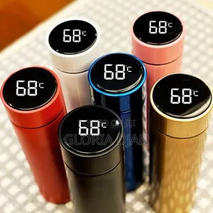 Temperature Display Bottles 500ml