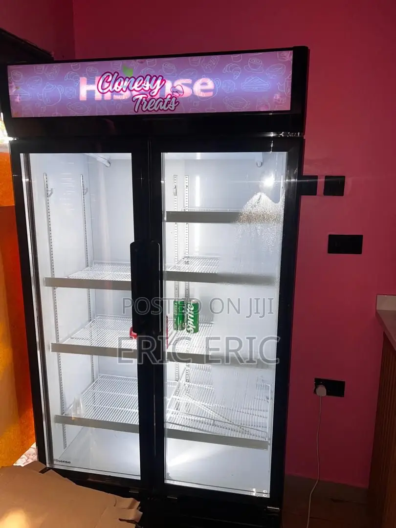 Hisense Double Door Fridge