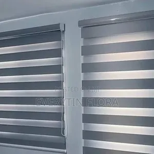 Window Blind