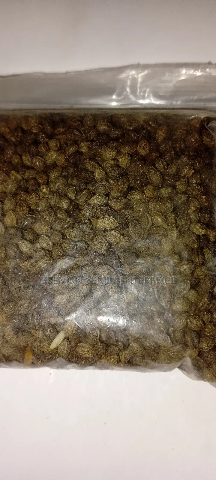 Dwarf Pawpaw Fruit, Seeds and Seedlings for Sale
