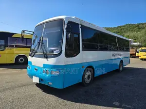 Hyundai Aero Town 2009 Blue