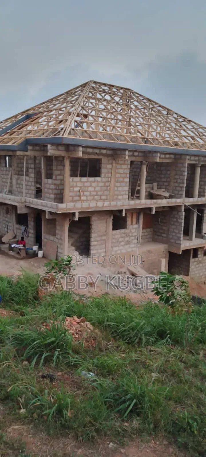 Professional Roofing Carpenter