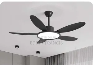 Modern Fan Light With Remote Control